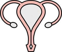 Pelvic Rehabilitation Post-Hysterectomy